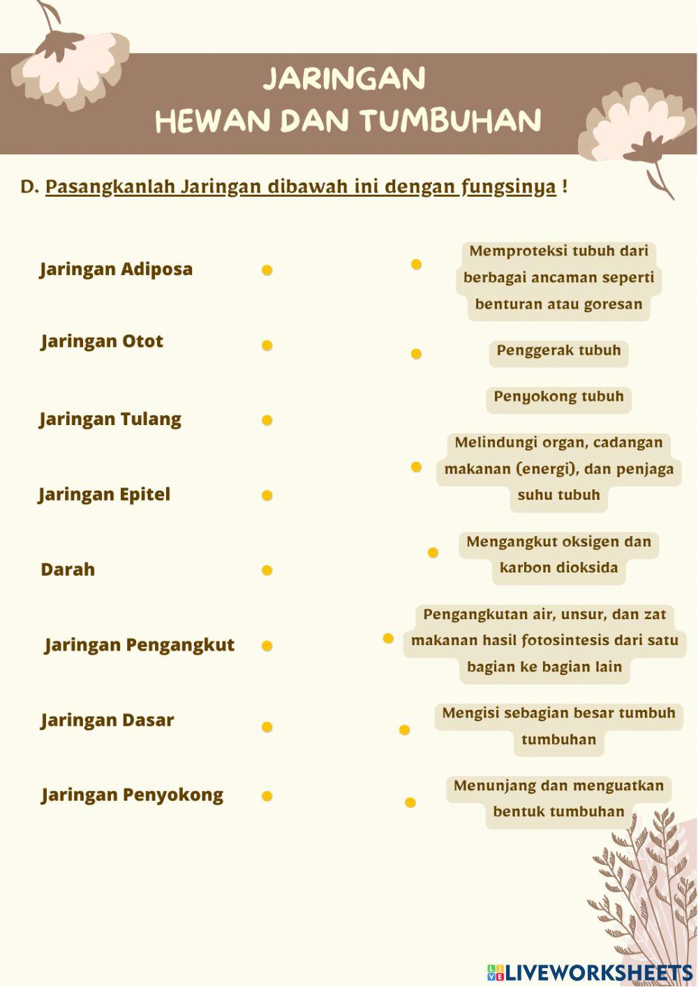 Sistem organisasi kehidupan