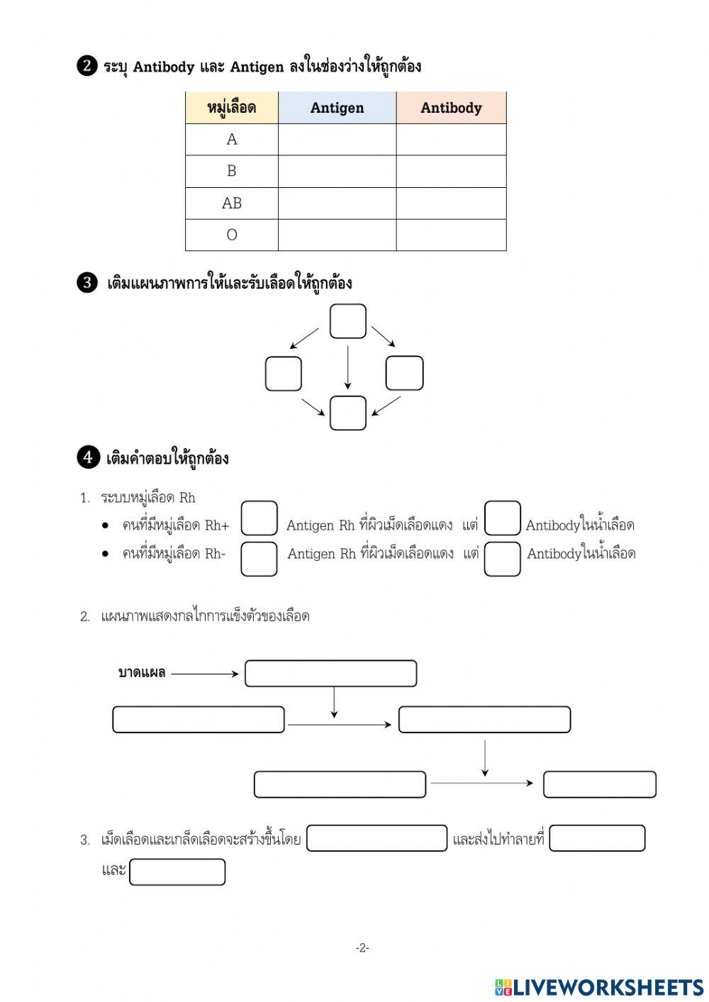 เซลล์เม็ดเลือดและหมู่เลือด
