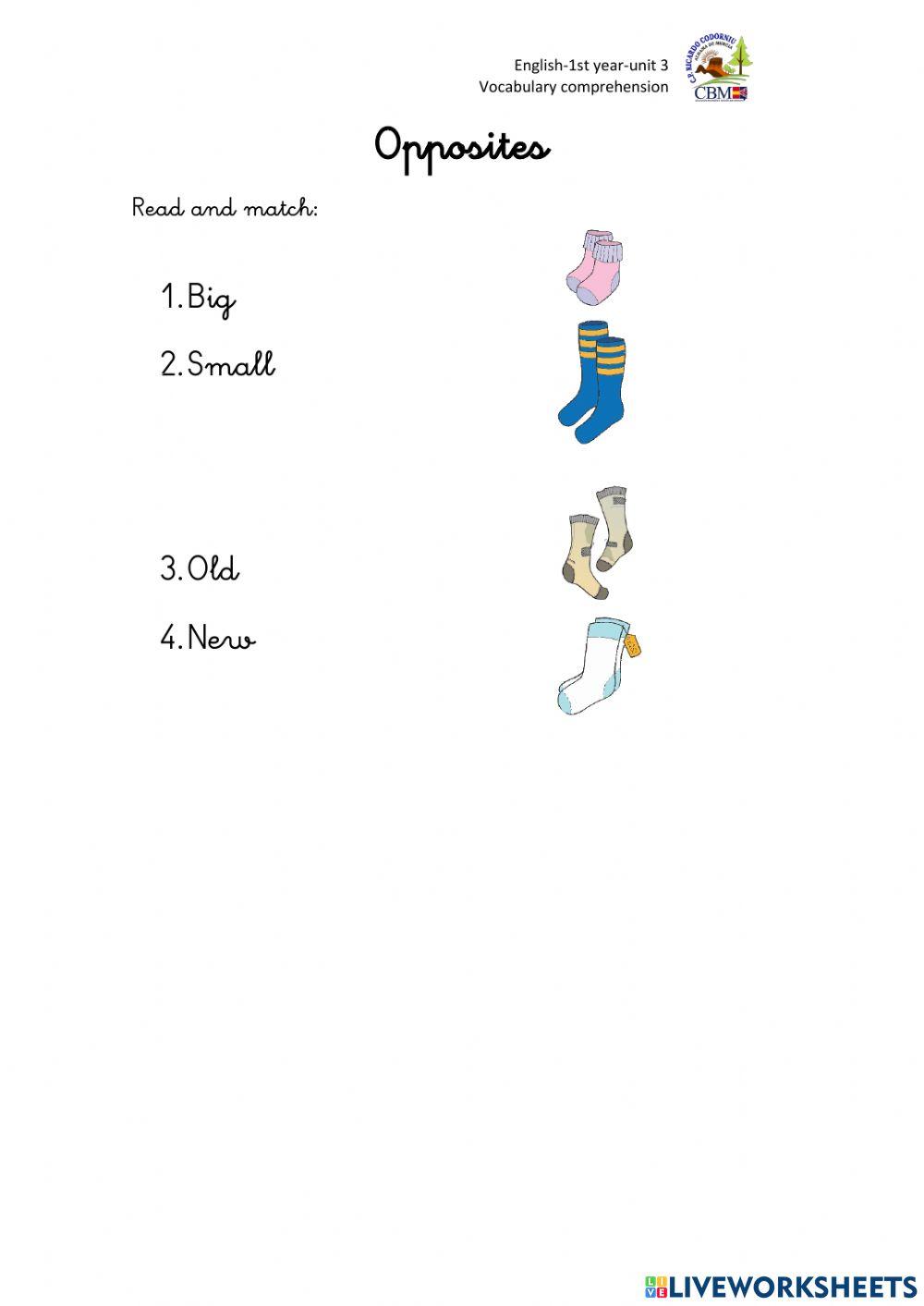 Match opposites big-small-old-new