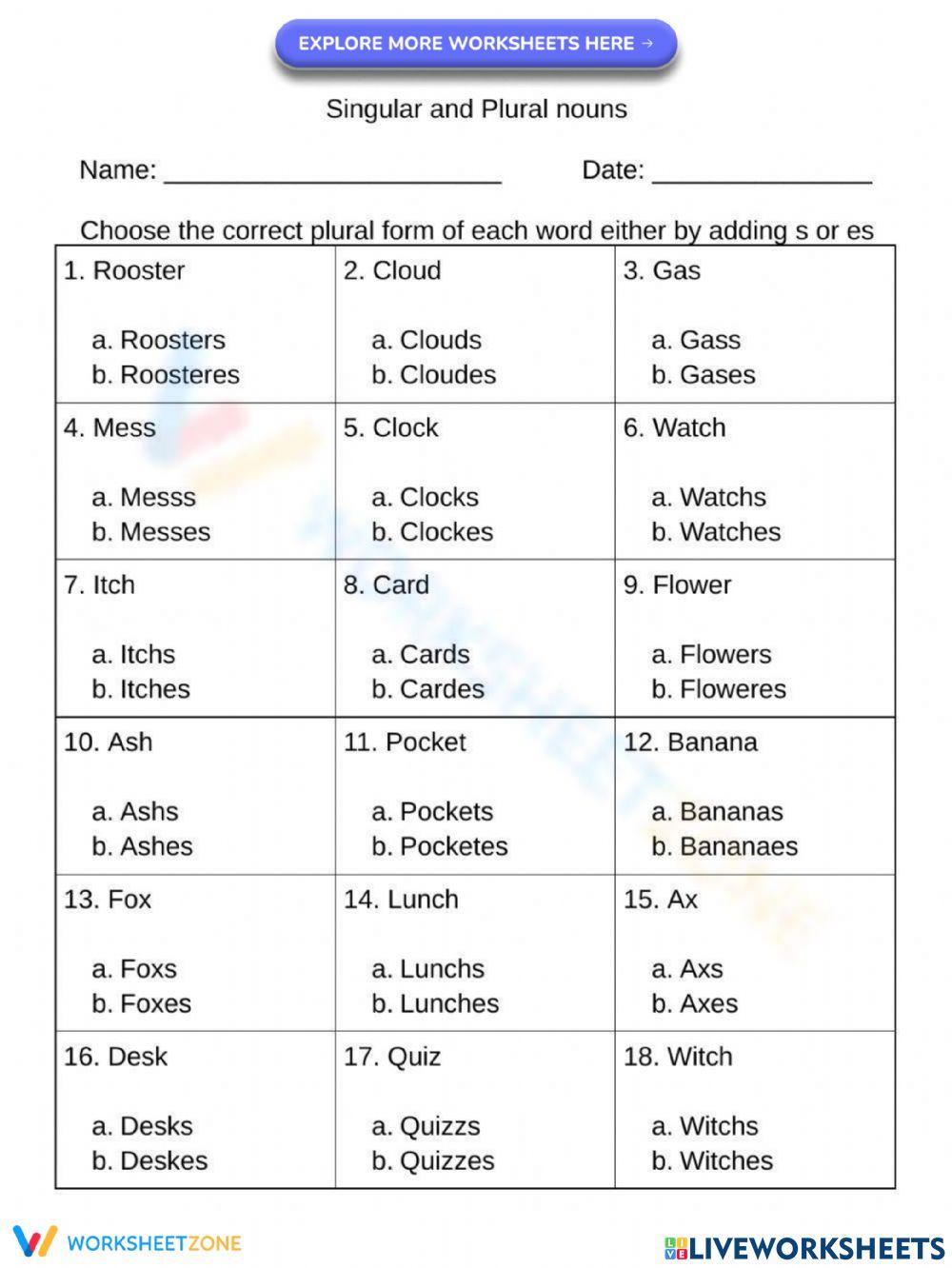 Singular and Plural Nouns - Adding s and es