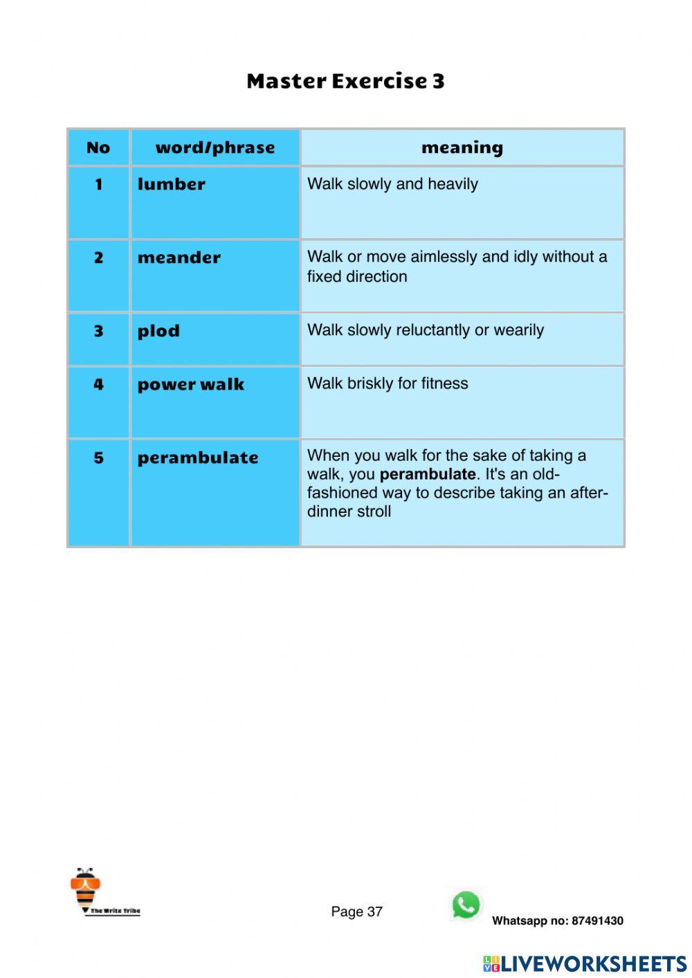 Ultimate Walk Cycles Set 5