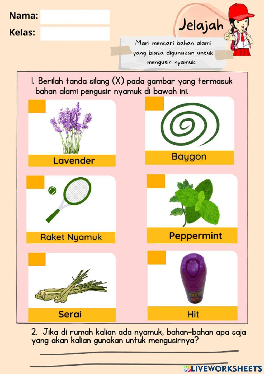 Tanah- Jelajah Page 27