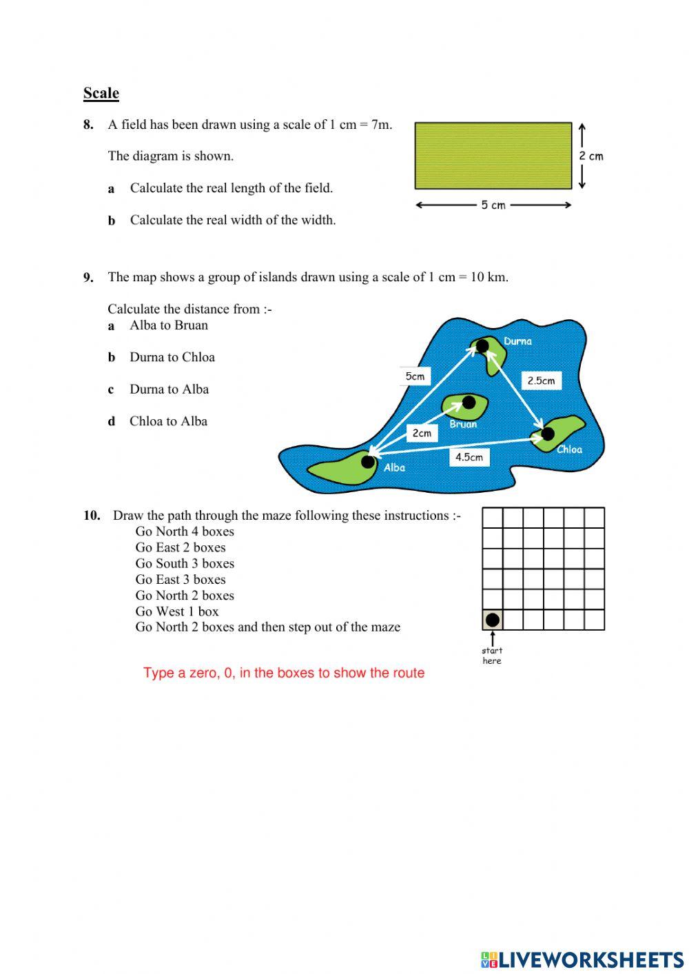 WW N3 SSM Practise Test