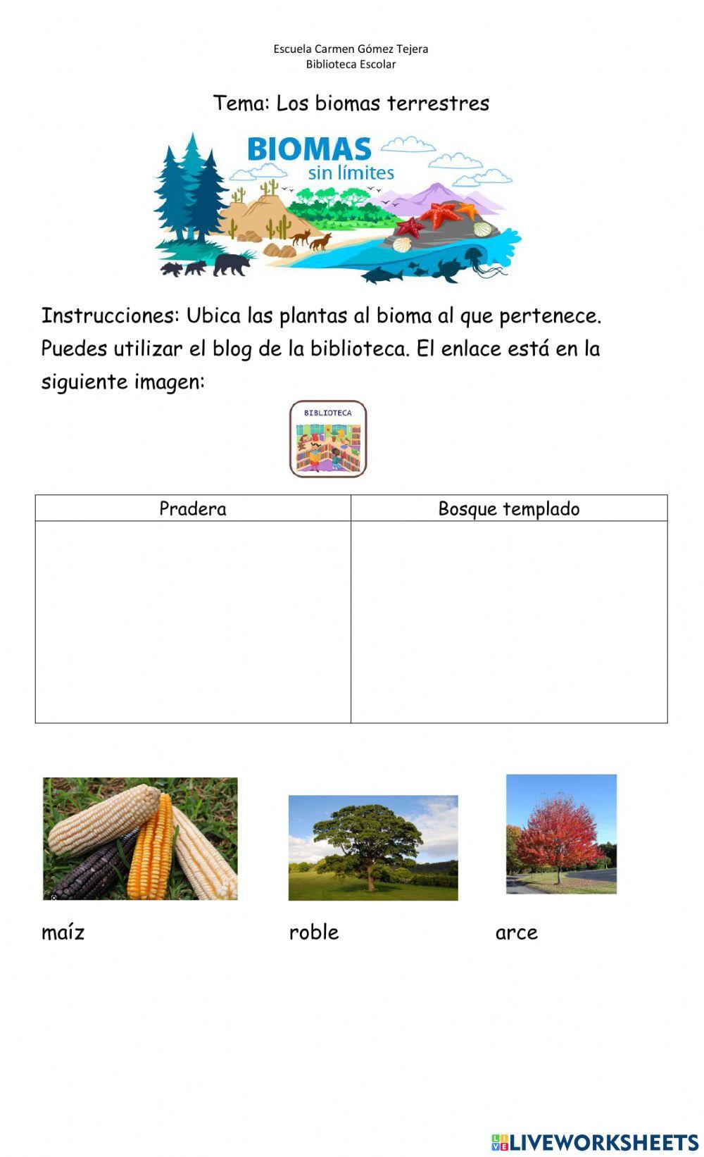 Biomas terrestres: plantas