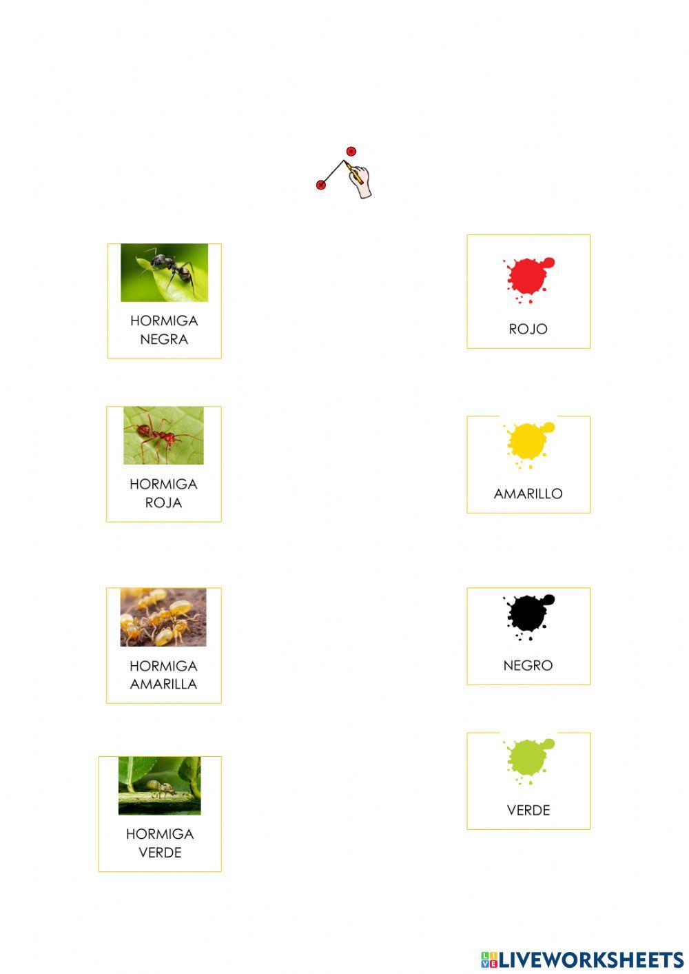 La cigarra y la hormiga