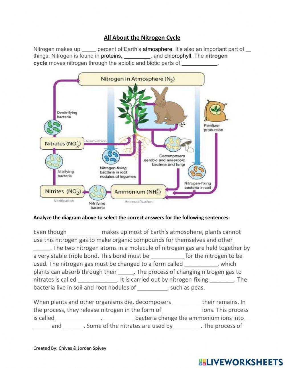All About The Nitrogen Cycle Activity worksheet | Live Worksheets All About The Nitrogen Cycle Activity worksheet | Live Worksheets
