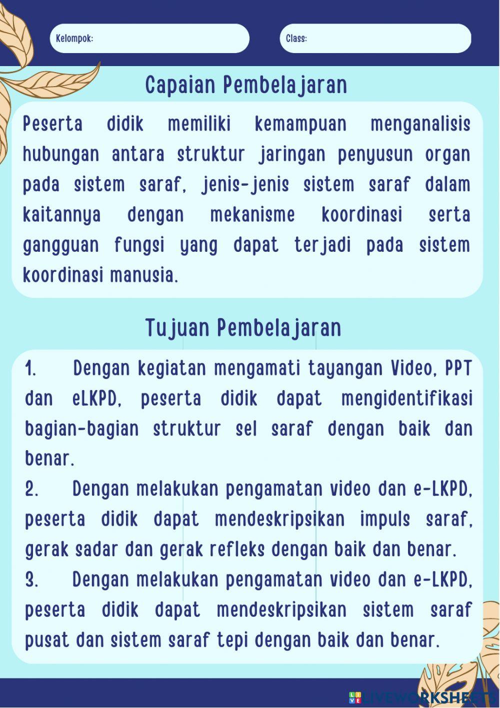 LKPD Sistem Saraf