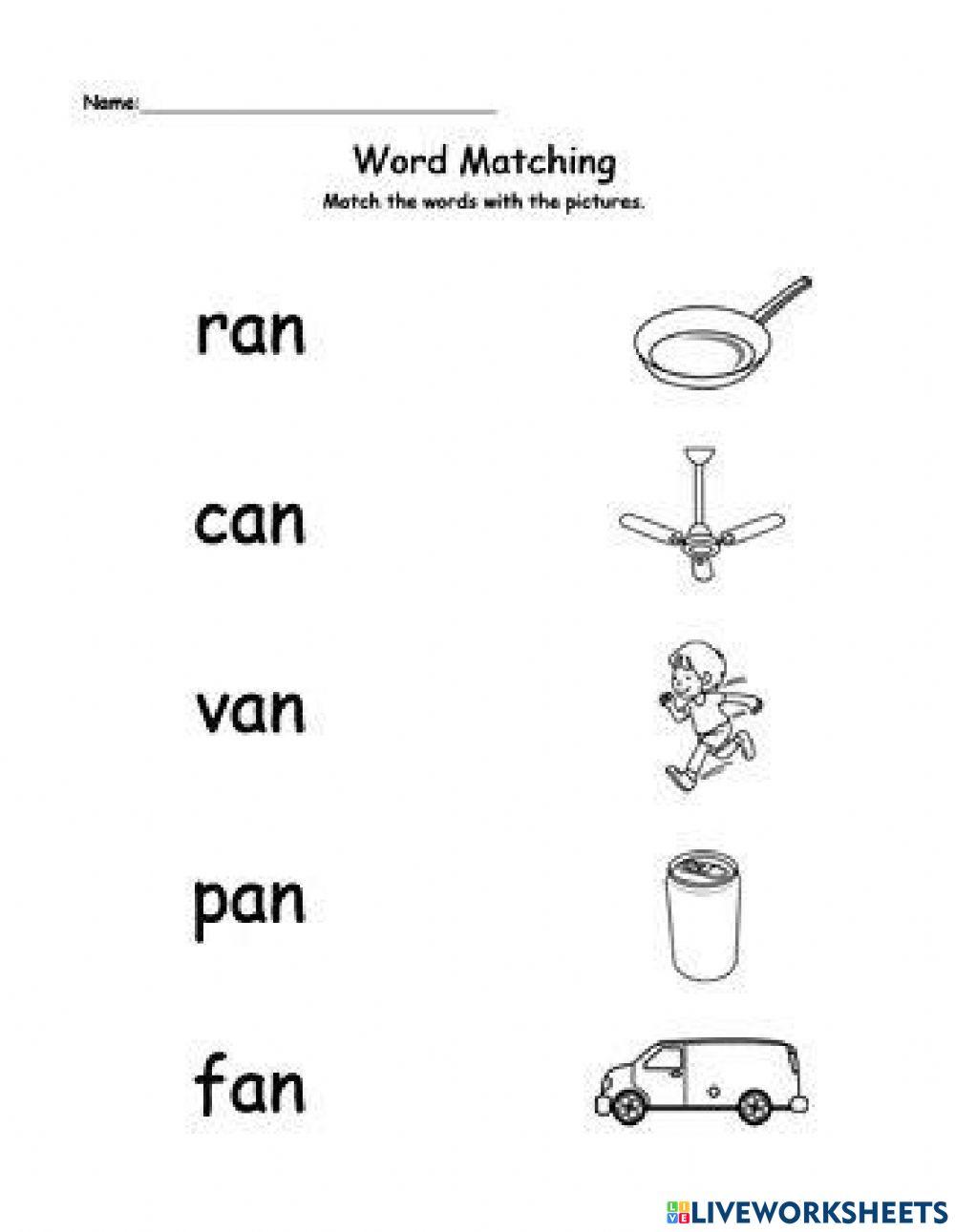 Vocabulary