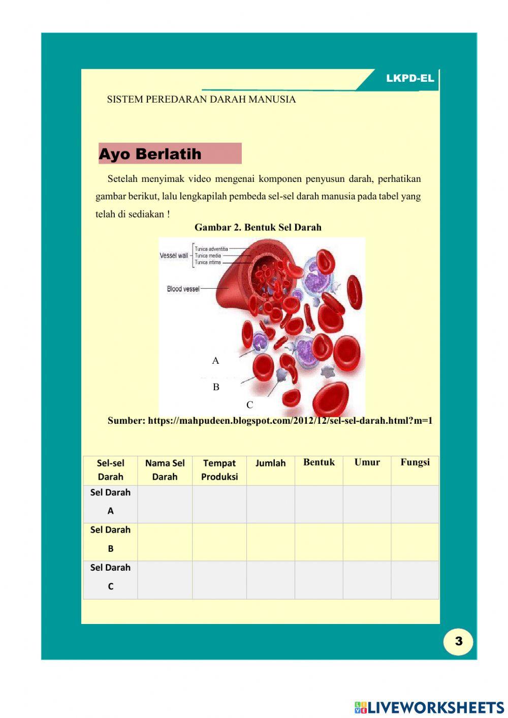 Sistem Peredaran darah
