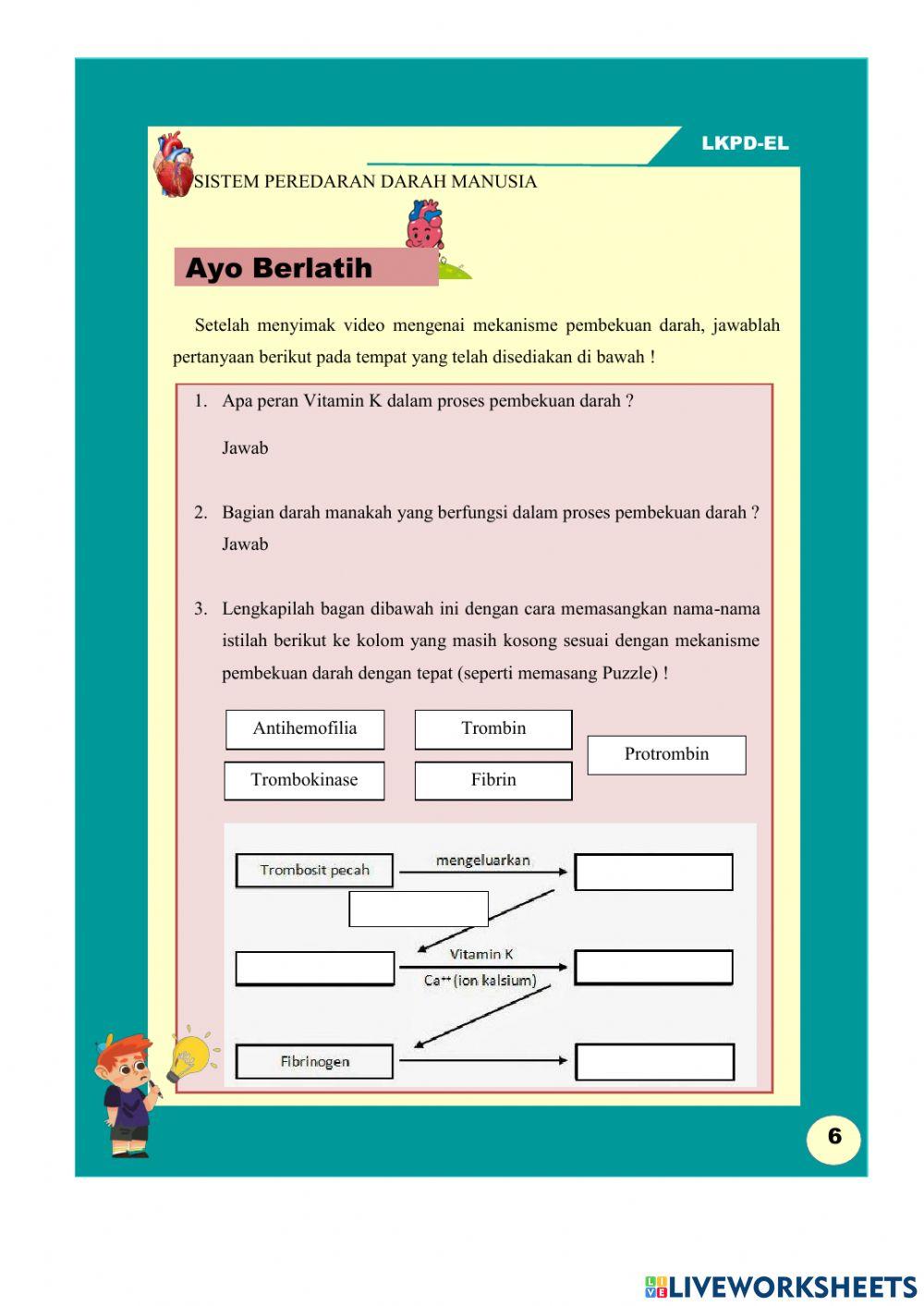 Sistem Peredaran darah