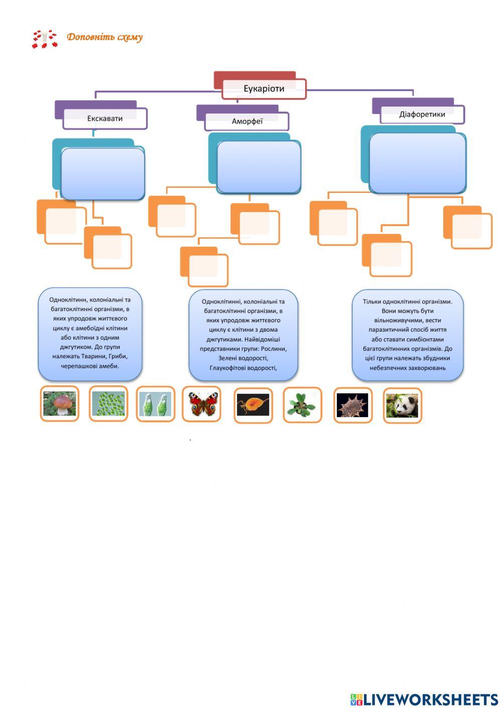 Сучасні погляди на систему  еукаріотичних організмів