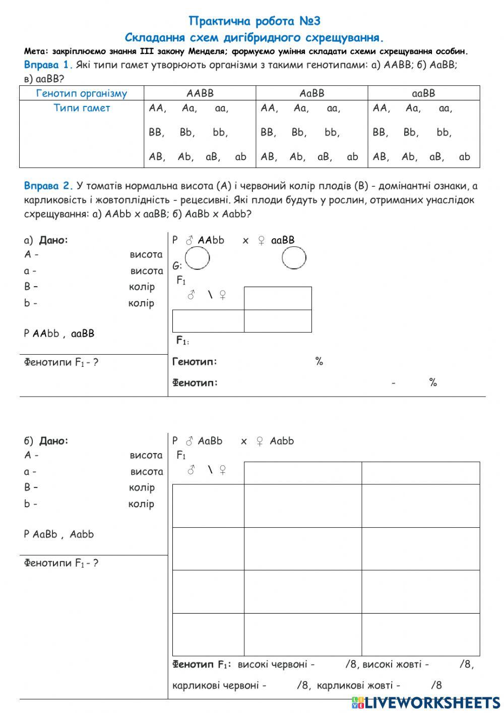 Практична робота №3