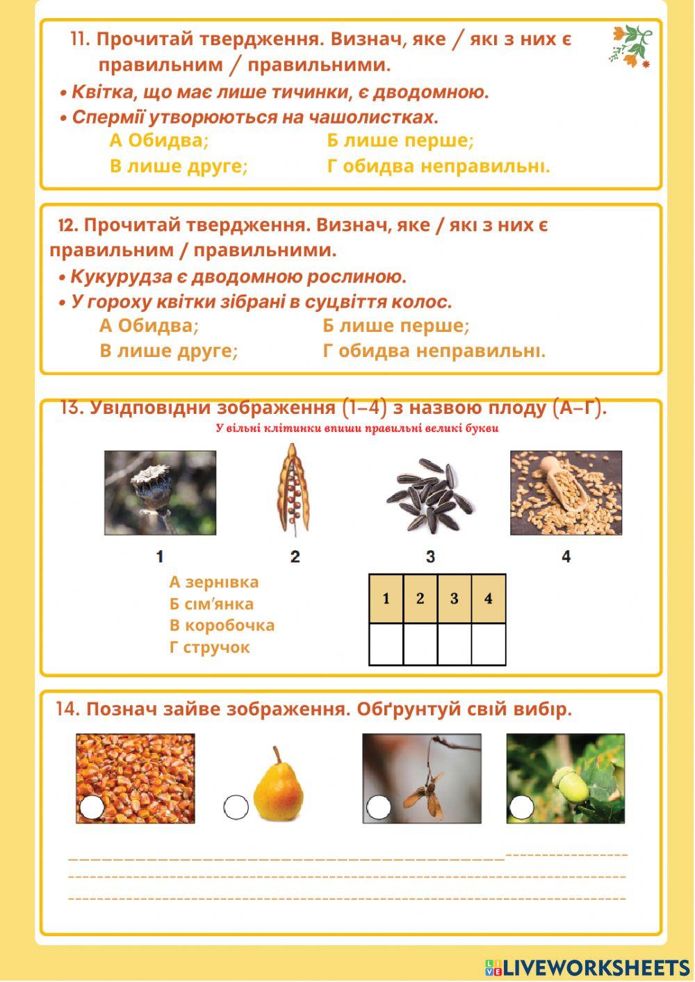 Генеративні органи рослин