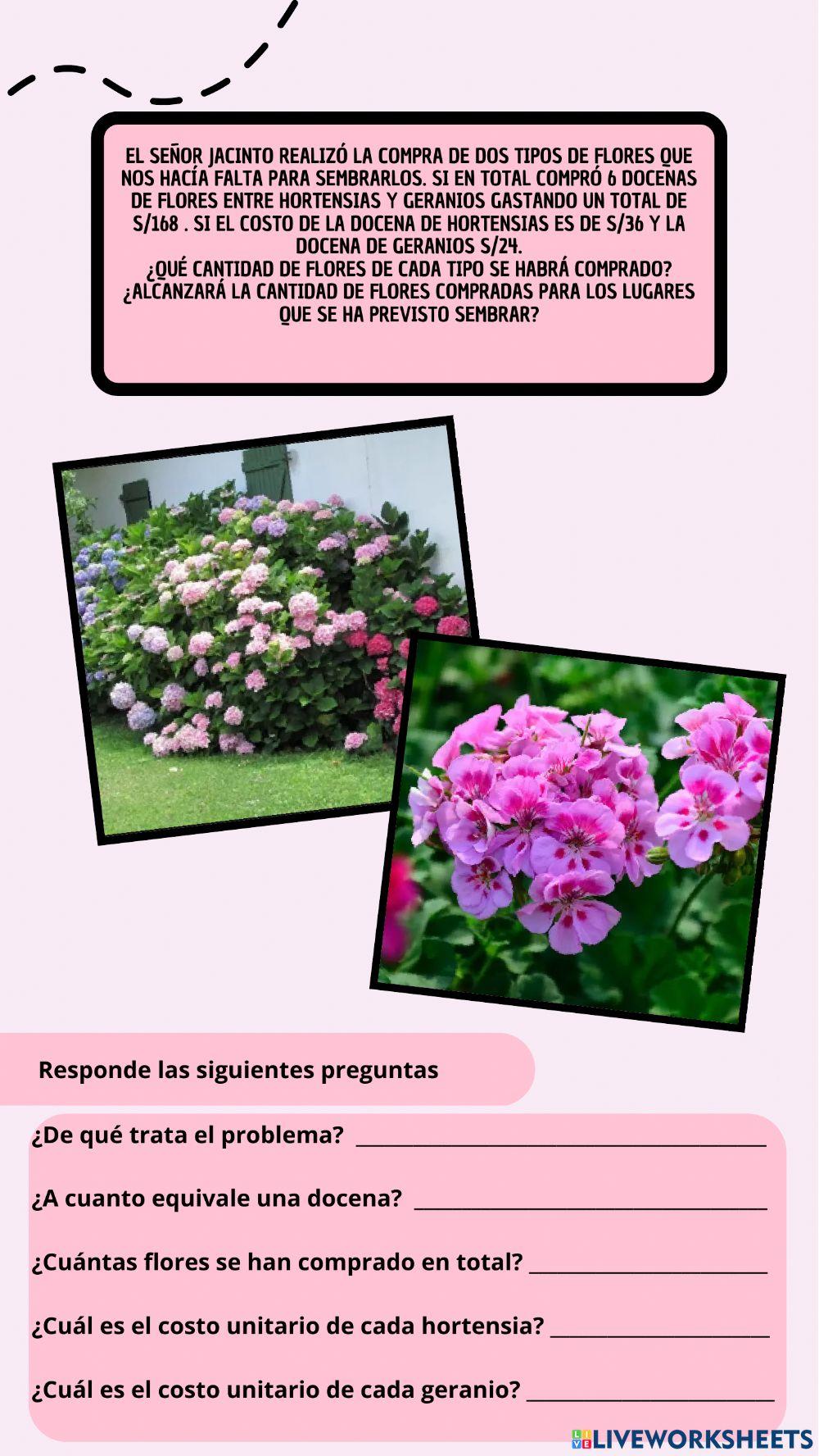 Sistema de ecuaciones