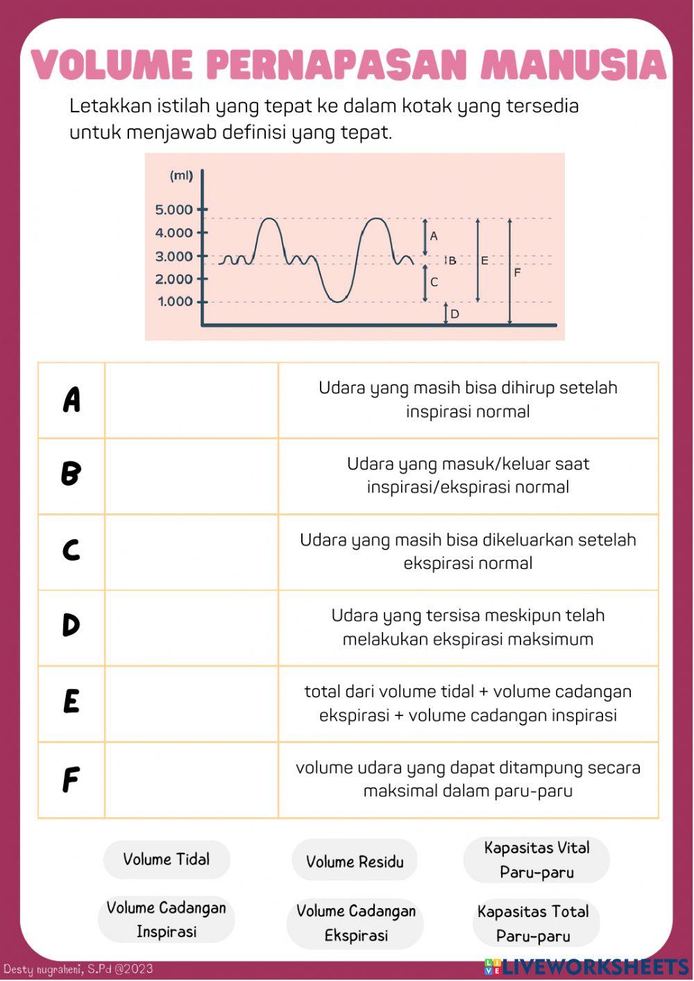 Sistem Pernapasan Manusia IPA SMP Kelas 8