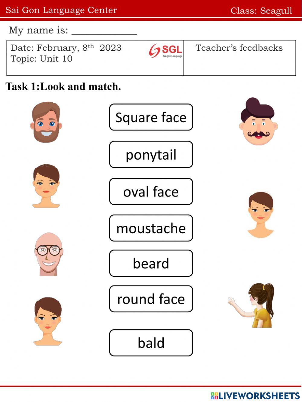 Seagull.FF1.U10(11.02)