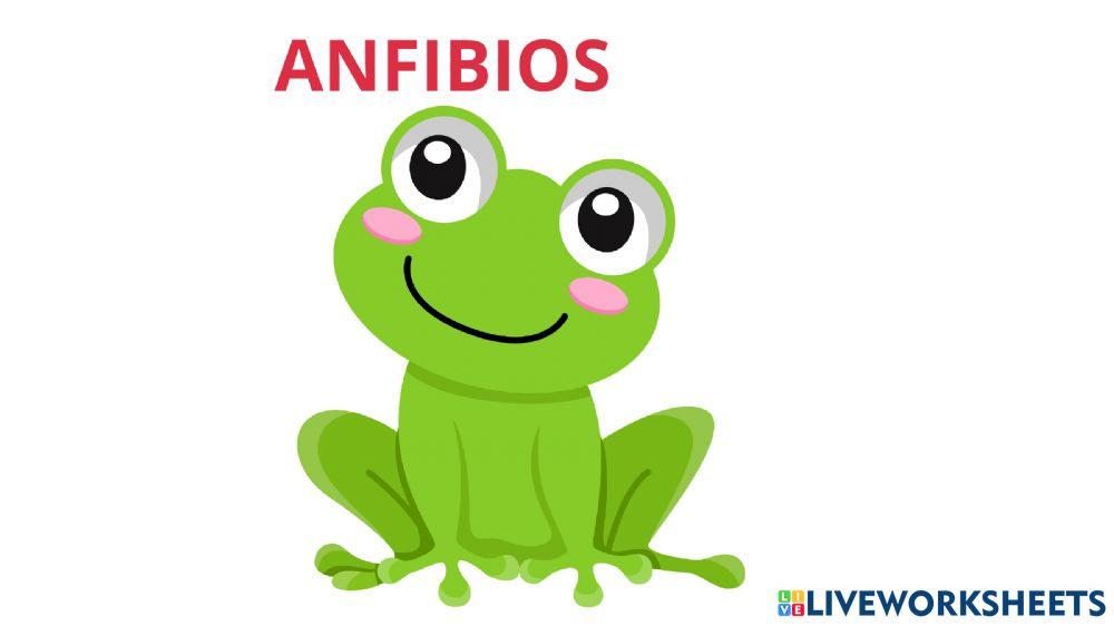 Animales vertebrados e invertebrados