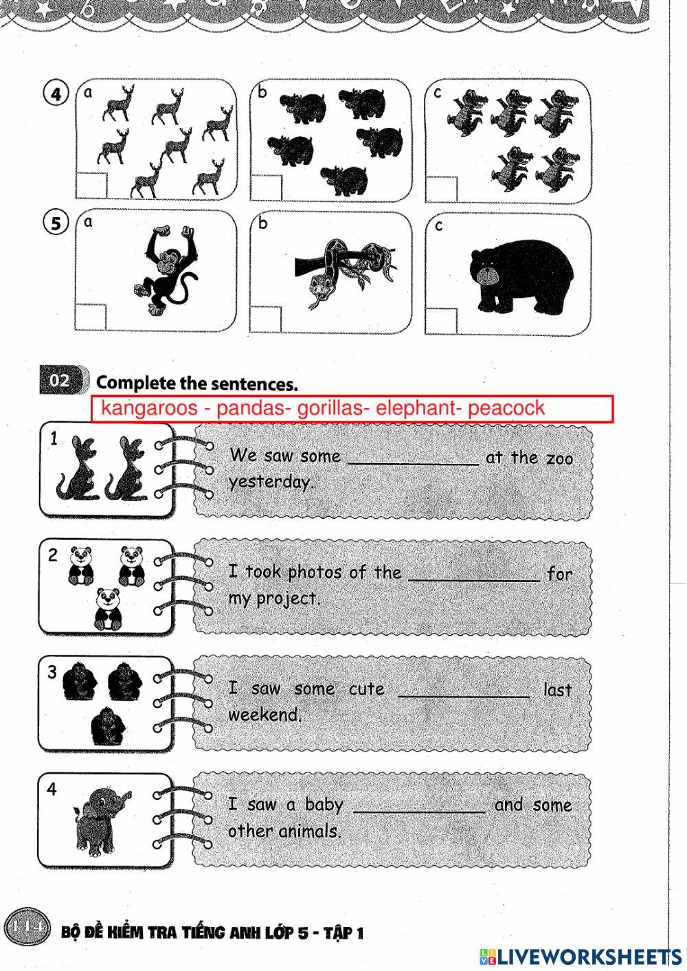 What did you see at the zoo