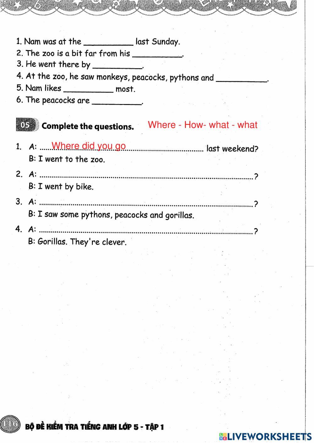 What did you see at the zoo