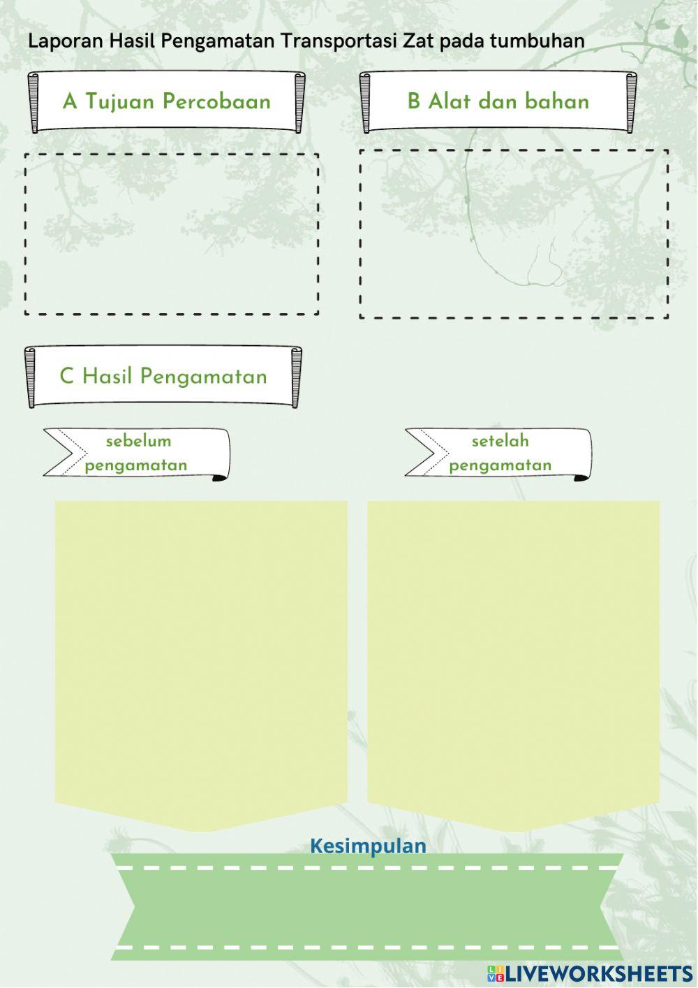 Work book plant part 2