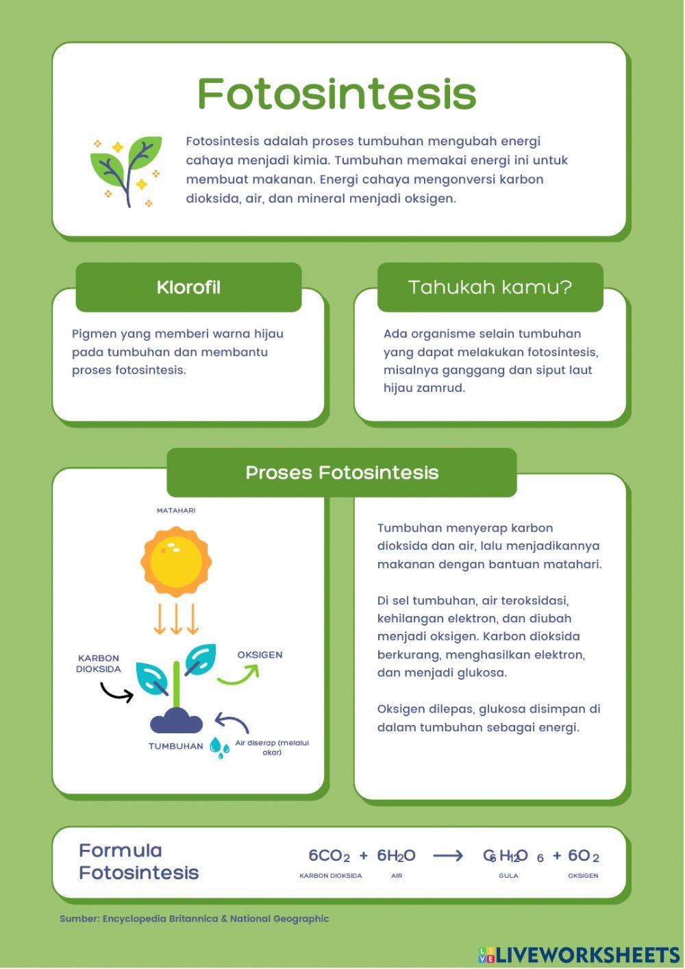 Work book plant part 2
