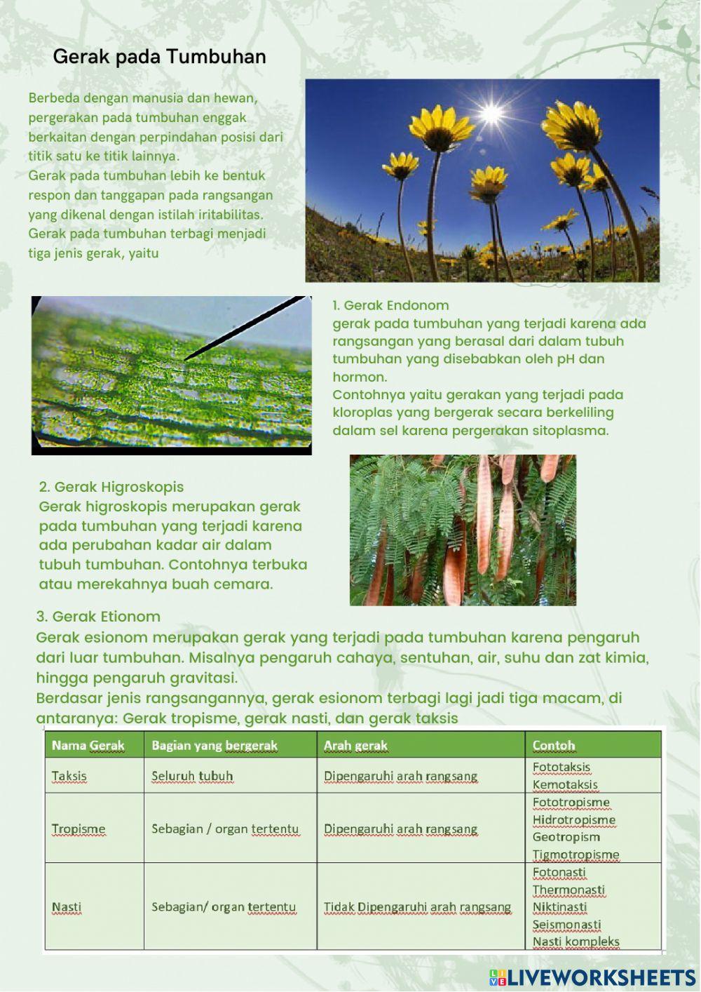 Work book plant part 2