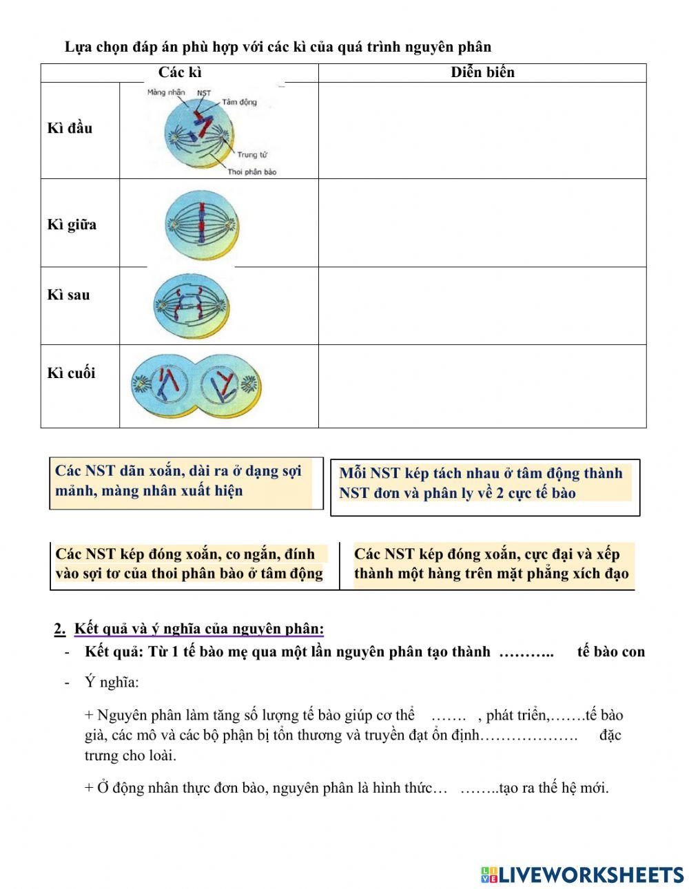 chu kì tế bào và quá trình nguyên phân