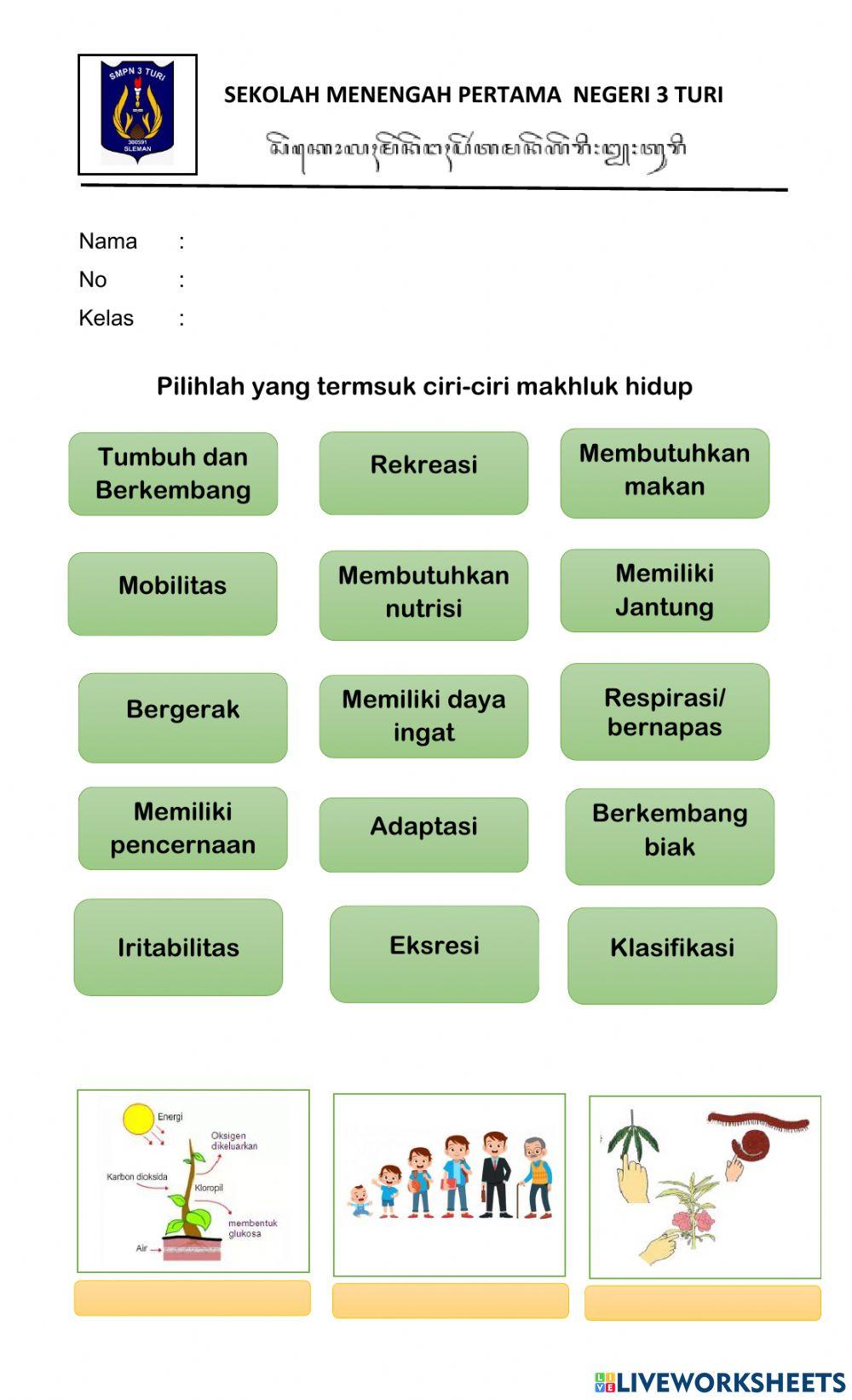 Ulangan IPA Kelas 7 Klasifikasi