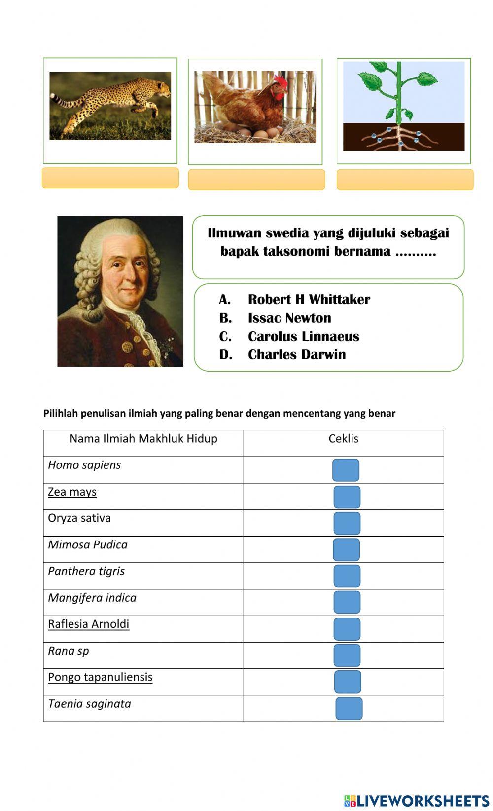 Ulangan IPA Kelas 7 Klasifikasi