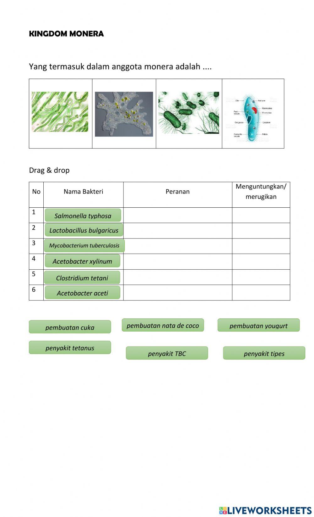 Ulangan IPA Kelas 7 Klasifikasi