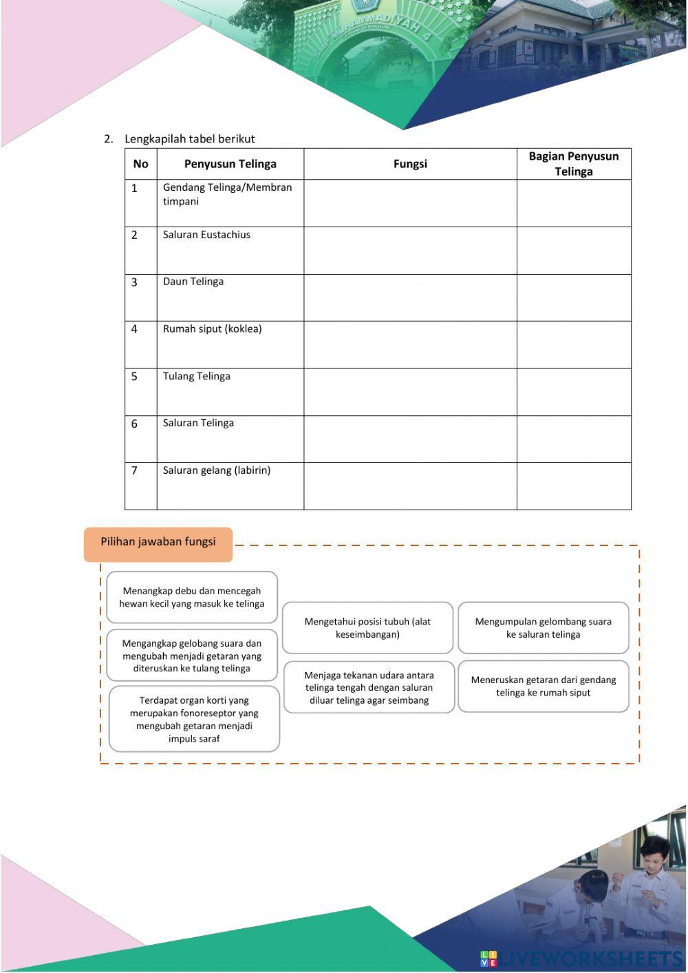Mekanisme Pendengaran Manusia dan Hewan