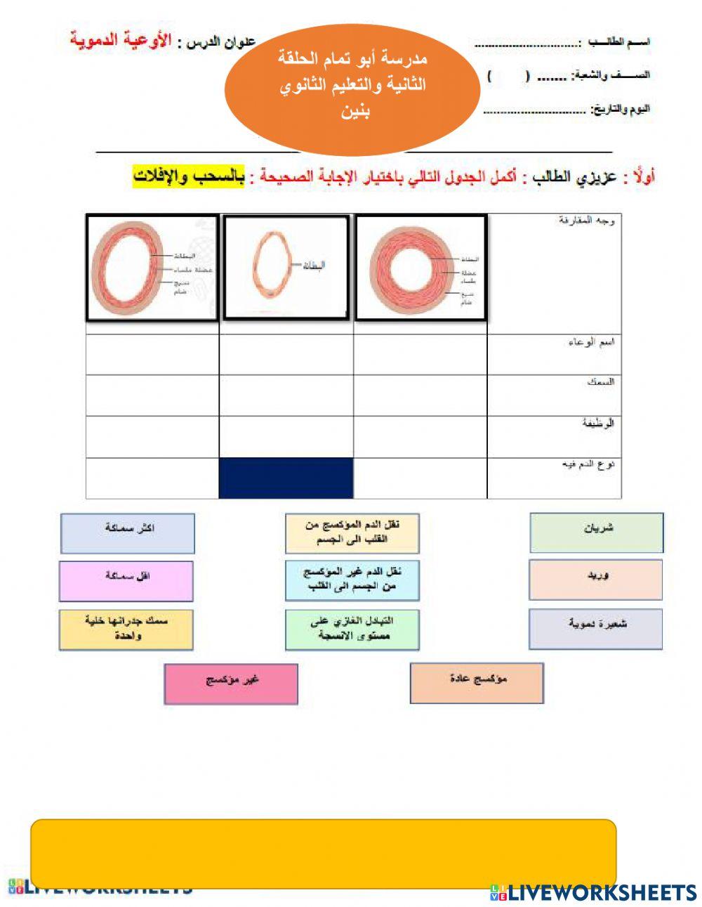 الاوعية الدموية