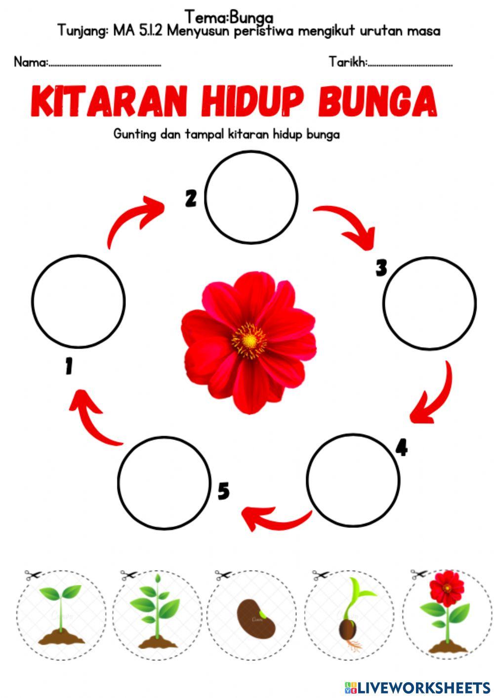 MA: 5.1.2 Menyusun peristiwa mengikut urutan masa