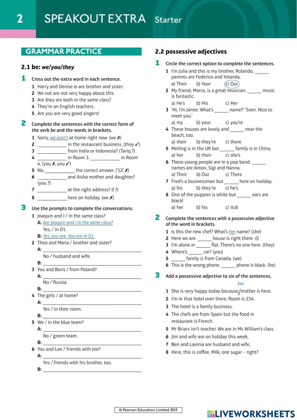 SpeakOut-Starter-Extra-Grammar-U2