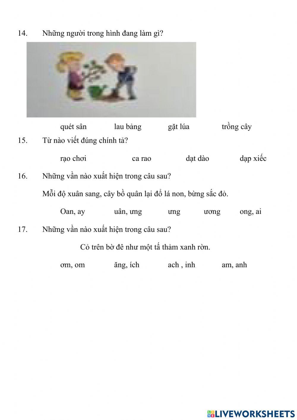 TNTV câp huyện 2023