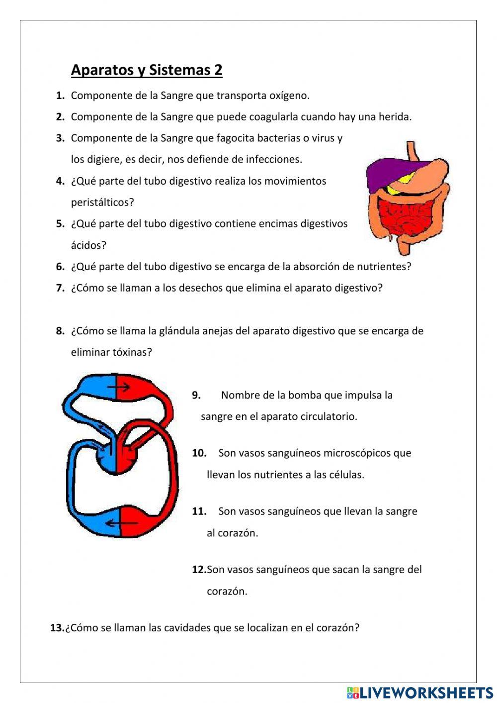 Aparatos y Sistemaas 2 Aparatos y Sistemaas 2