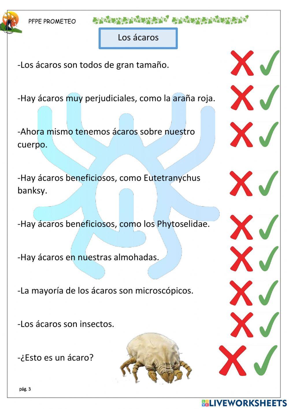 Arácnidos y ácaros