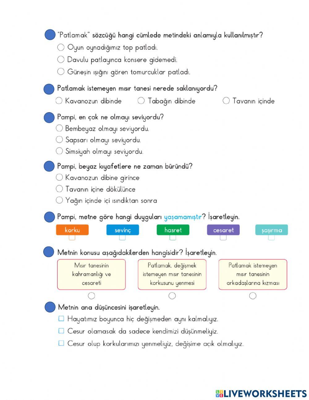13-17 Türkçe EV Çal