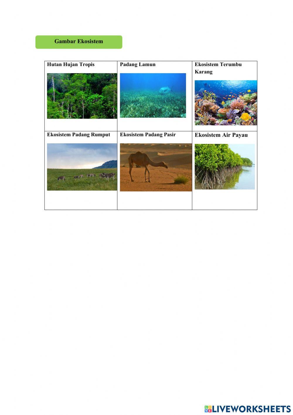 Keanekaragaman Hayati