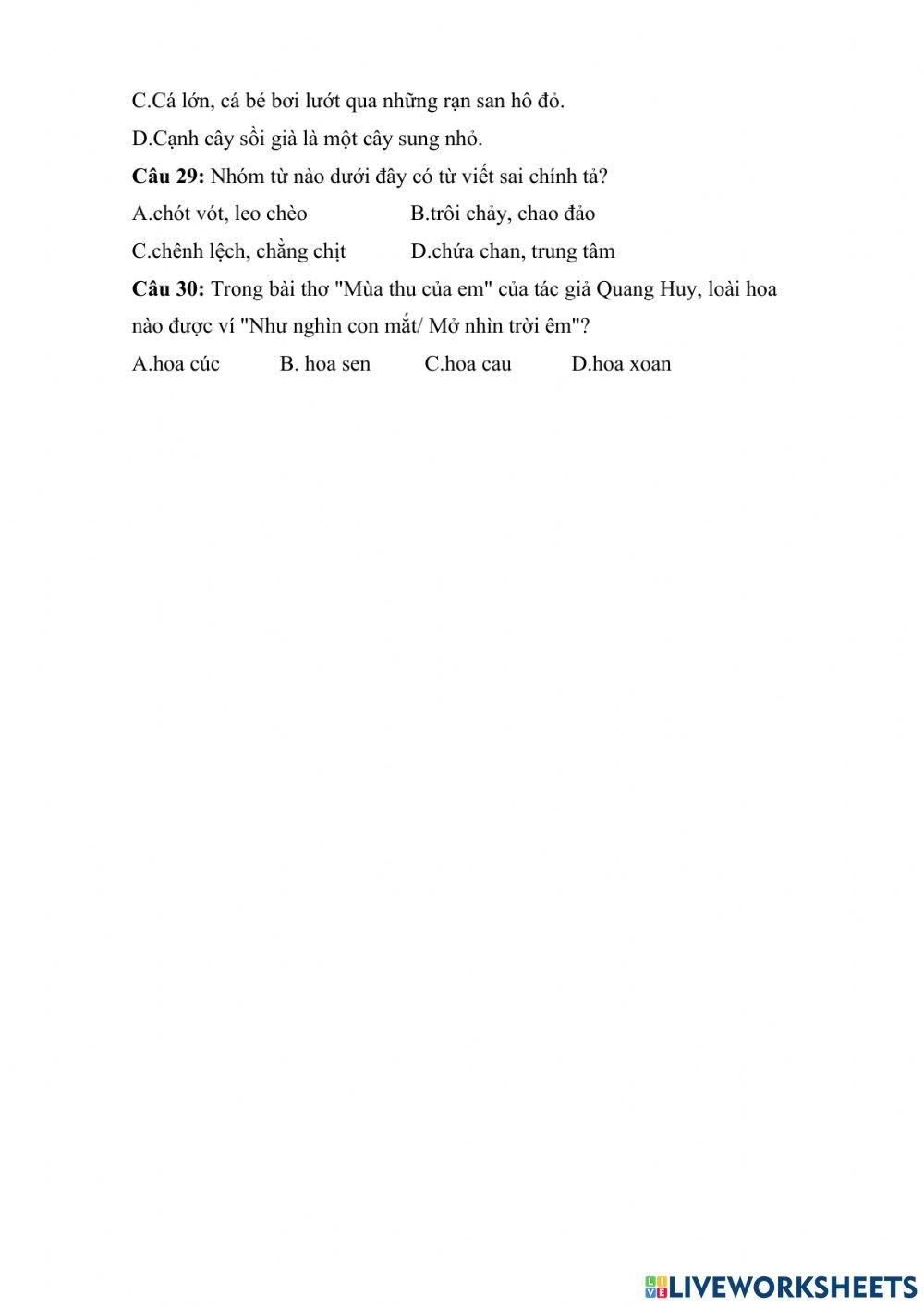 Ôn Tiếng Việt lớp 3 (Đề 1) cấp Huyện