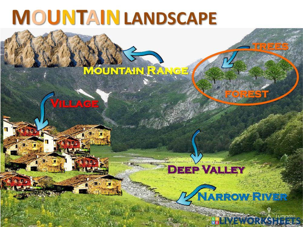 Landscapes Landscapes