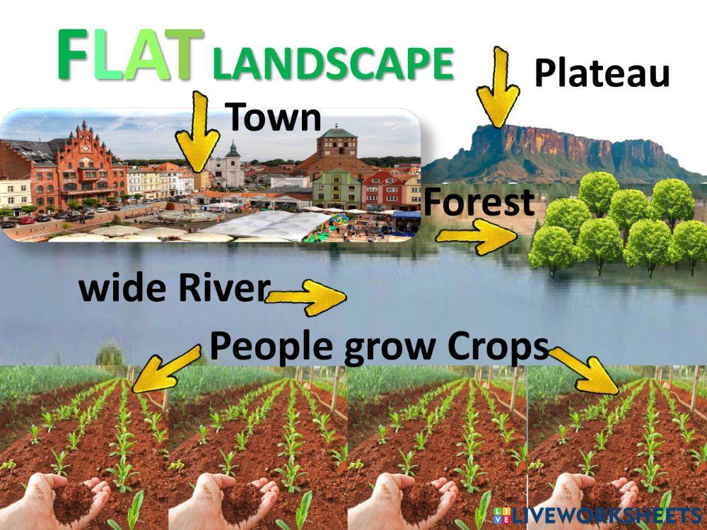 Landscapes Landscapes