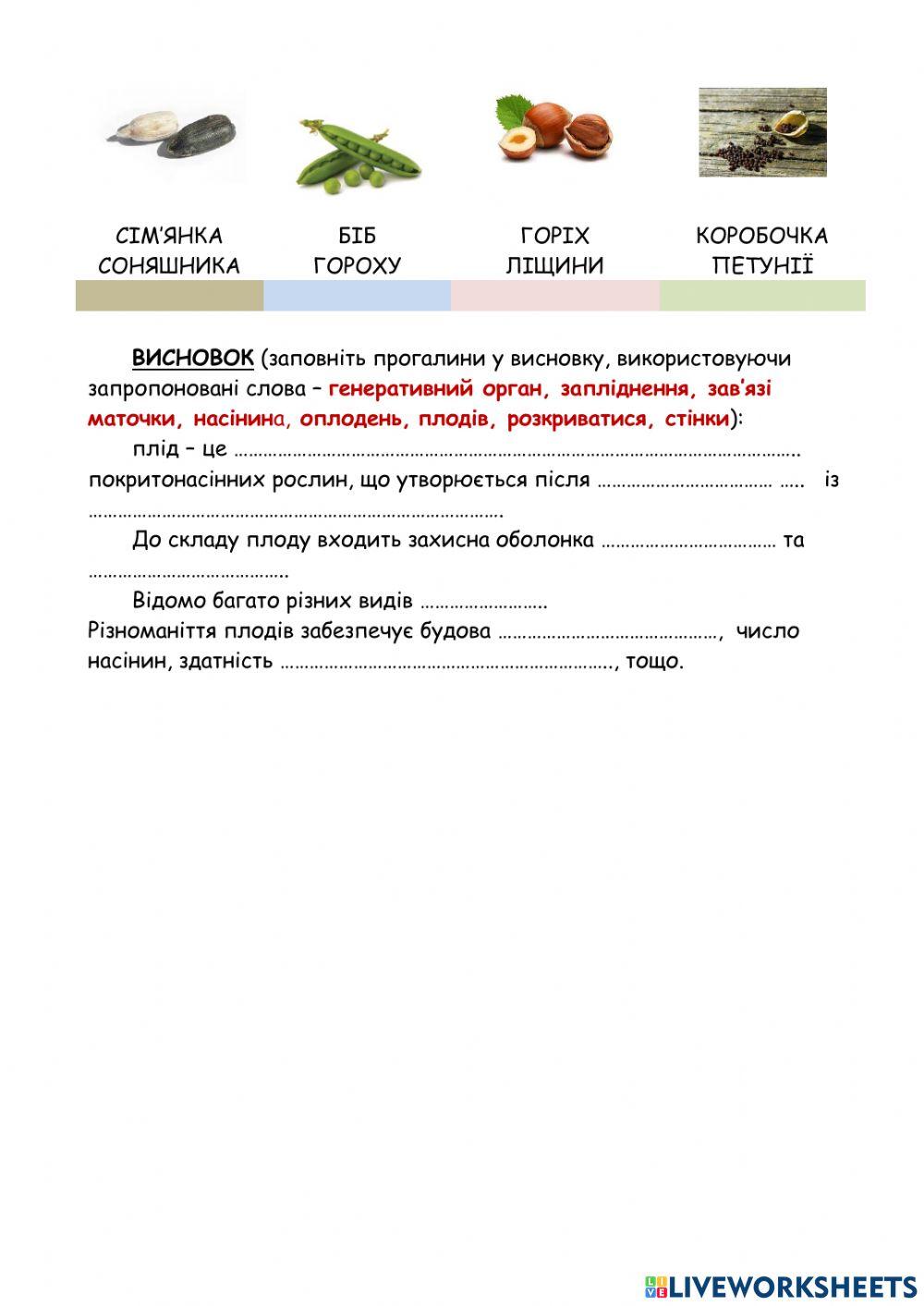Лабораторне дослідження будови плоду.