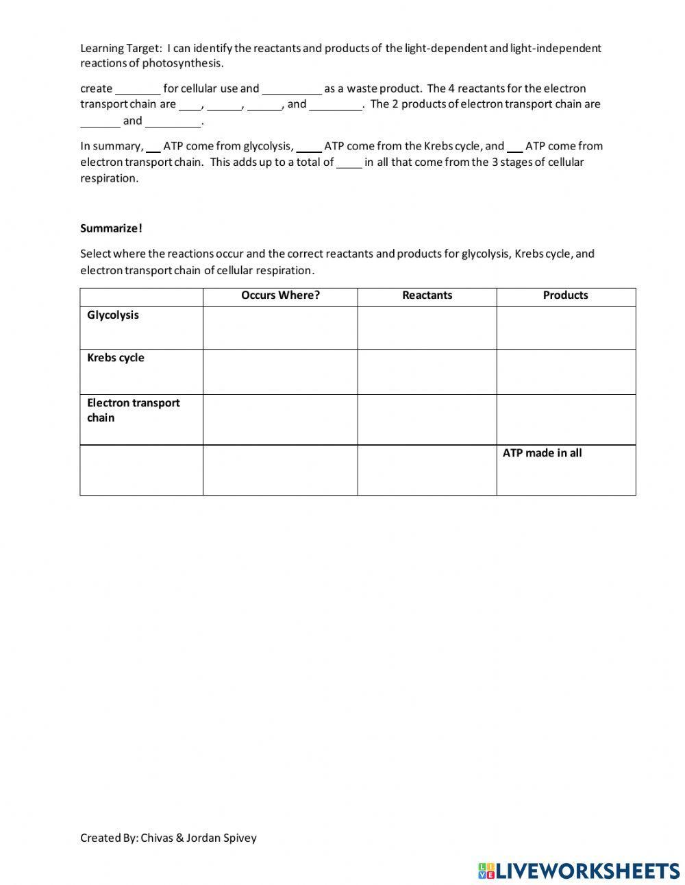 A Deep Dive into Cellular Respiration