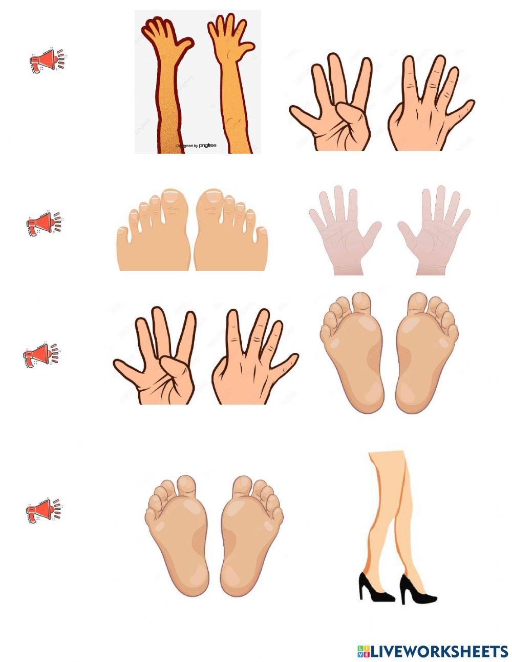 Up 1 unit 7 lesson 1