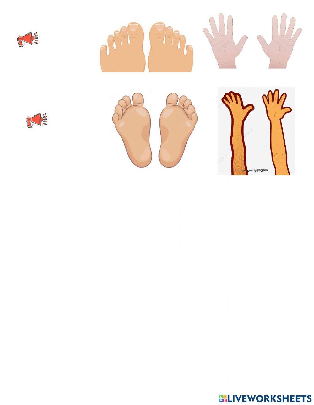 Up 1 unit 7 lesson 1