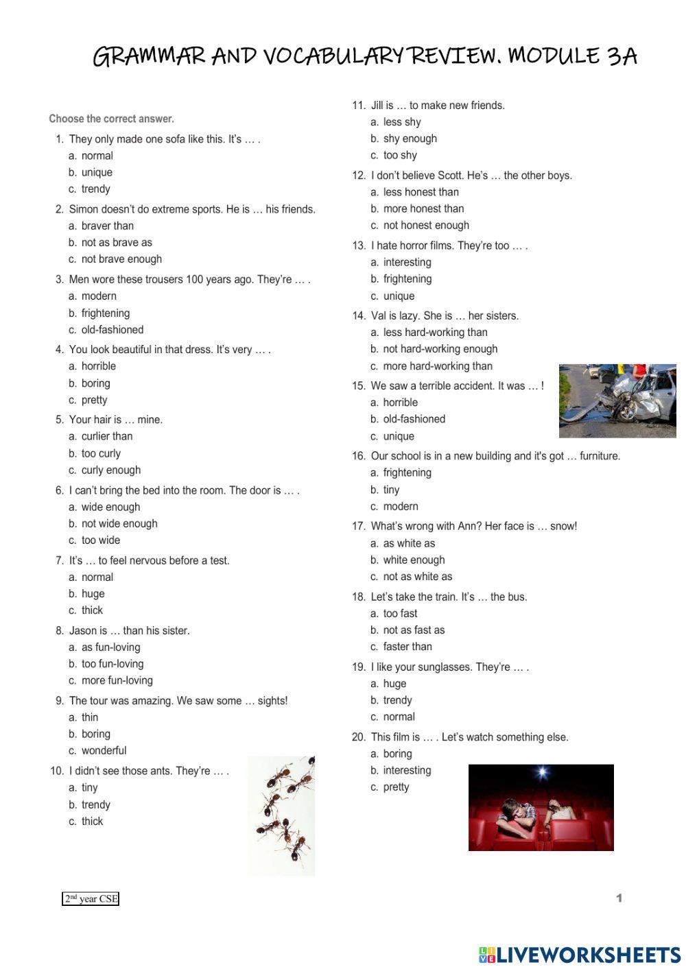 Grammar and vocabulary