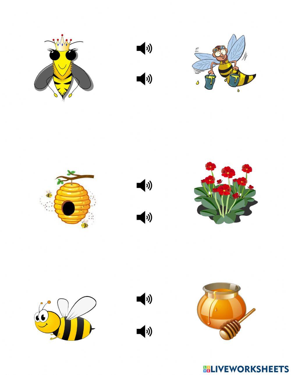 Bee online worksheet Live Worksheets