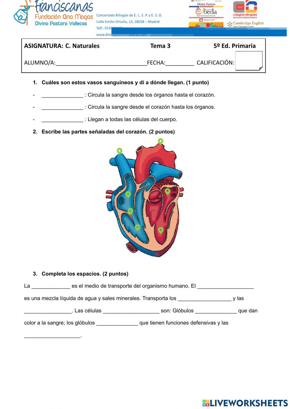Examen Naturales Tema 3- Parte 2
