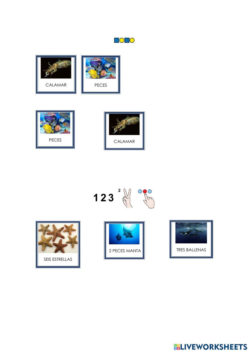 Comprensión cangrejo va al colegio